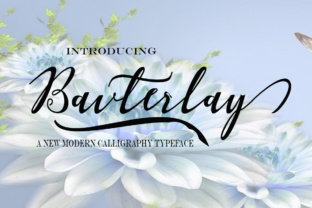 Bavterlay: A Modern Calligraphy Font for Personalized Design