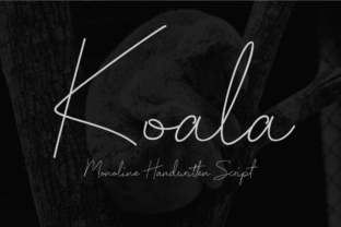 Koala Script: Elegant Handwritten Style
