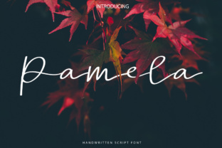 Pamela Script: Elegant Typography for Every Design