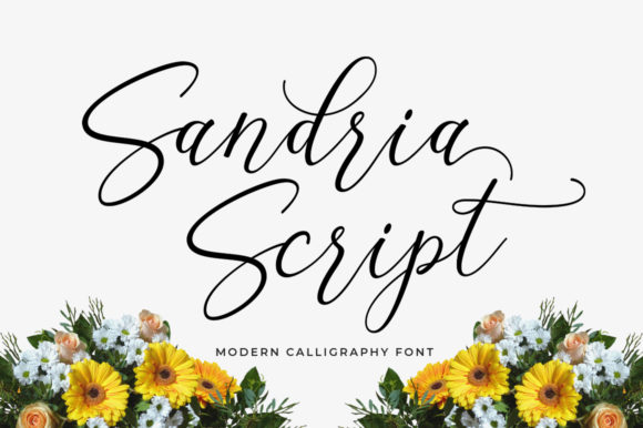 Sandria Script: A Feminine and Trendy Choice for Elegant Typography