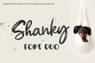 Shanky: A Versatile Font for Creative Workflows