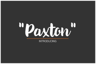 The Power of Personality: Why Paxton is Redefining Modern Design